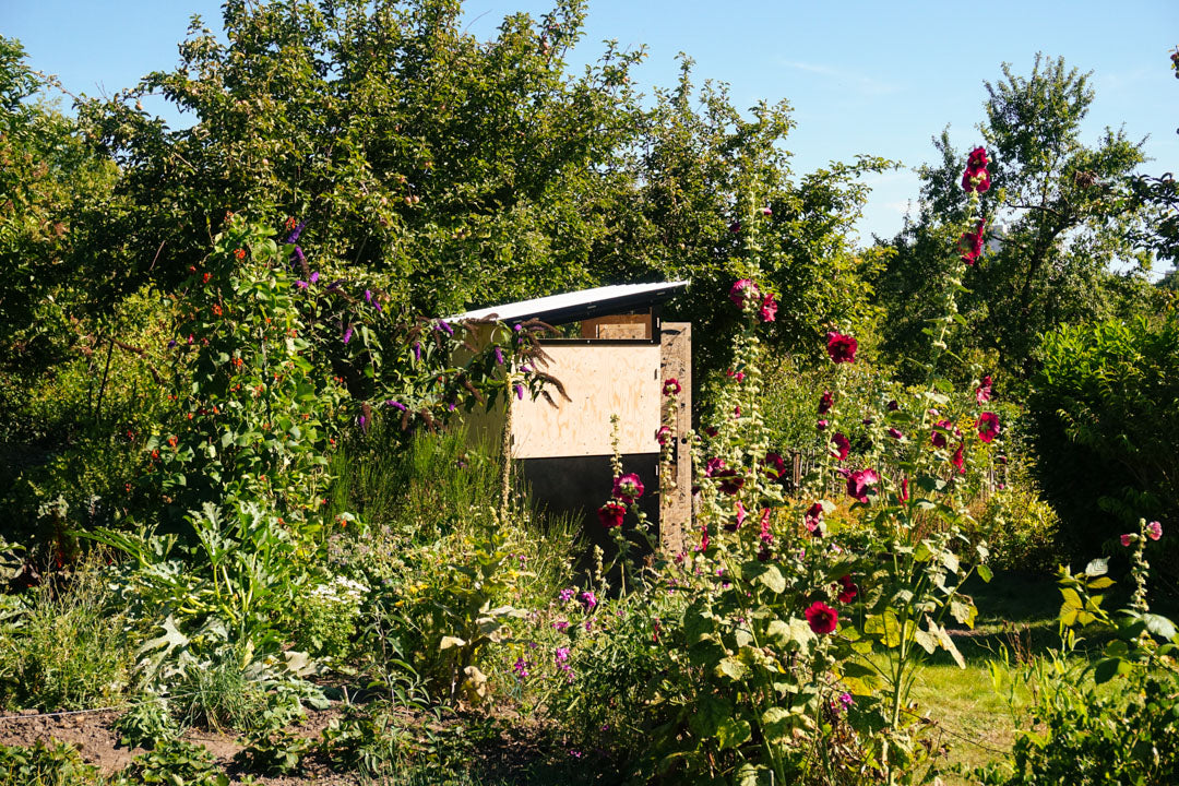 Laubenpieper im Garten