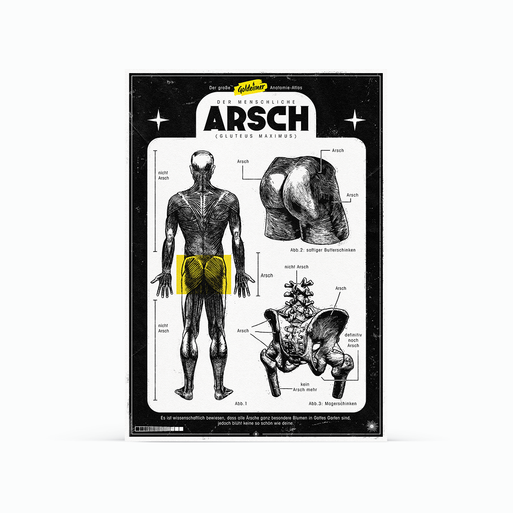 »Der menschliche Arsch« Poster Größe A2
