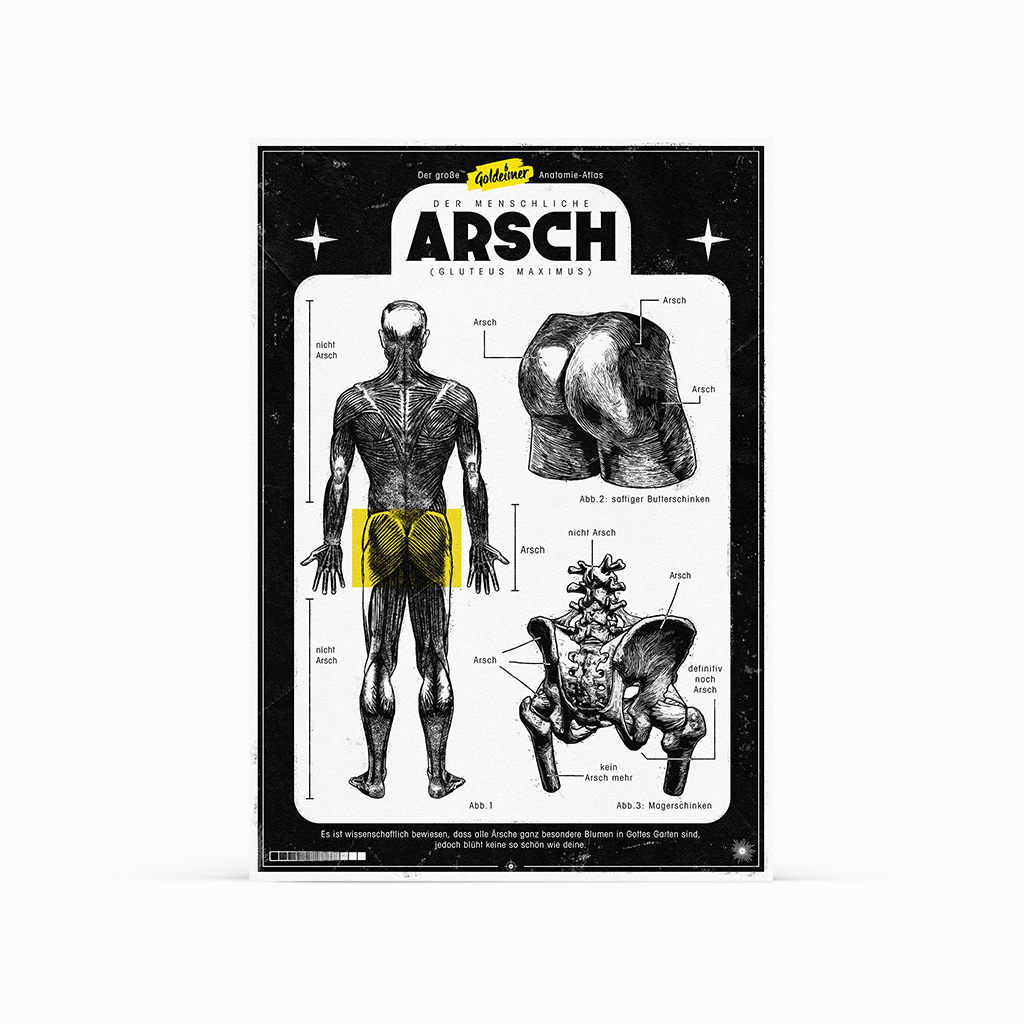 Poster »Der menschliche Arsch«