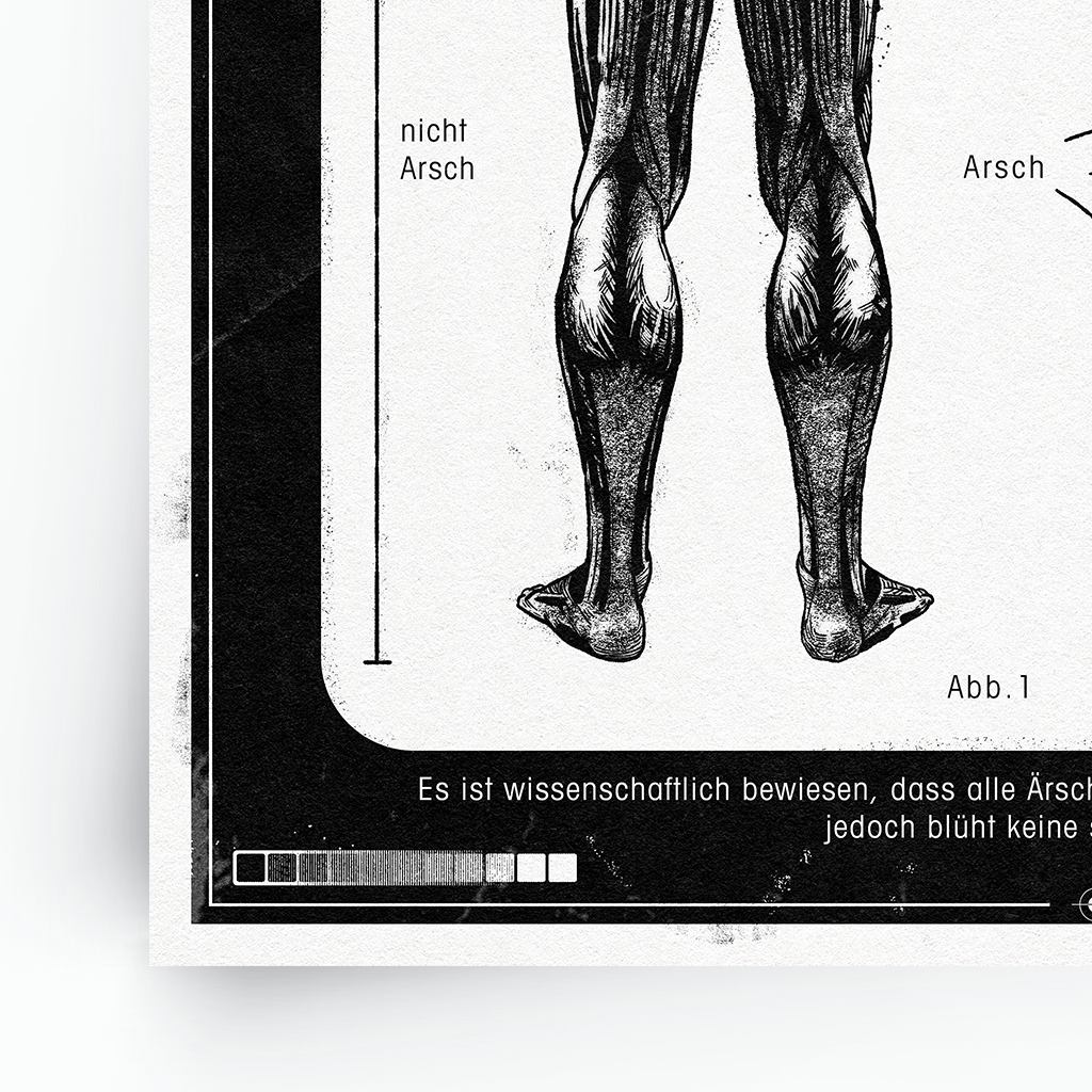»Der menschliche Arsch« Poster Größe A2